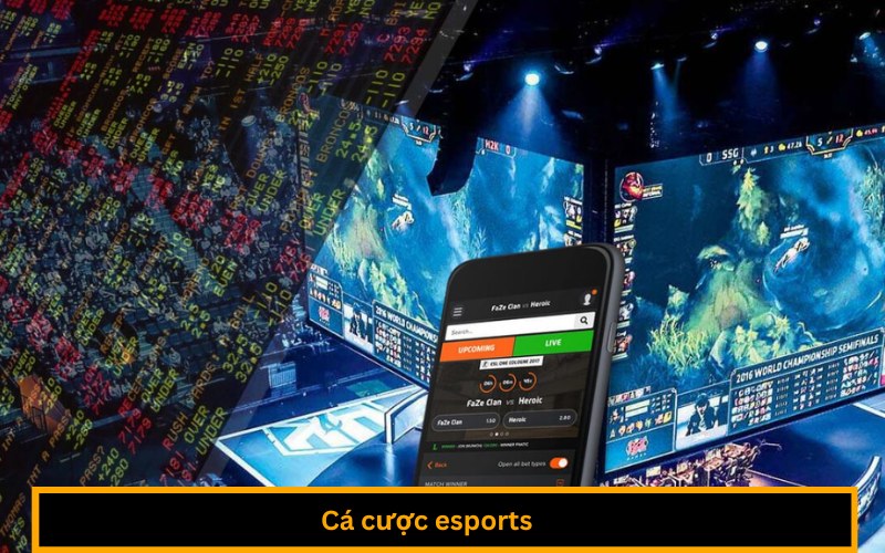 Cá cược esports