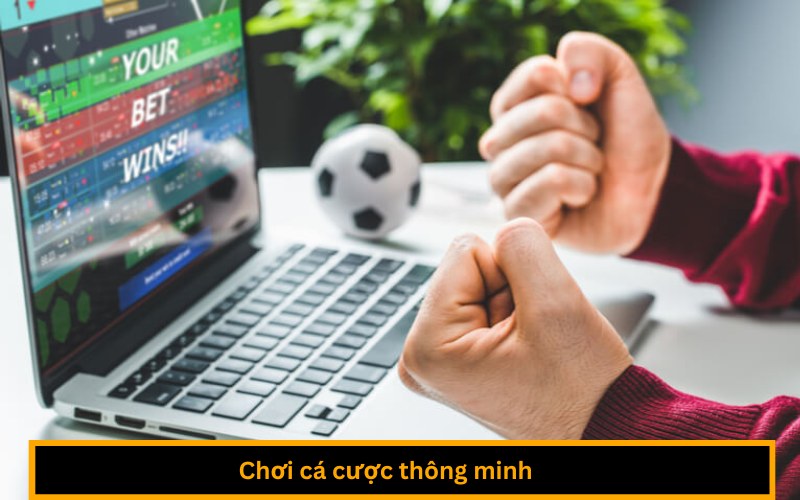 Chơi cá cược thông minh