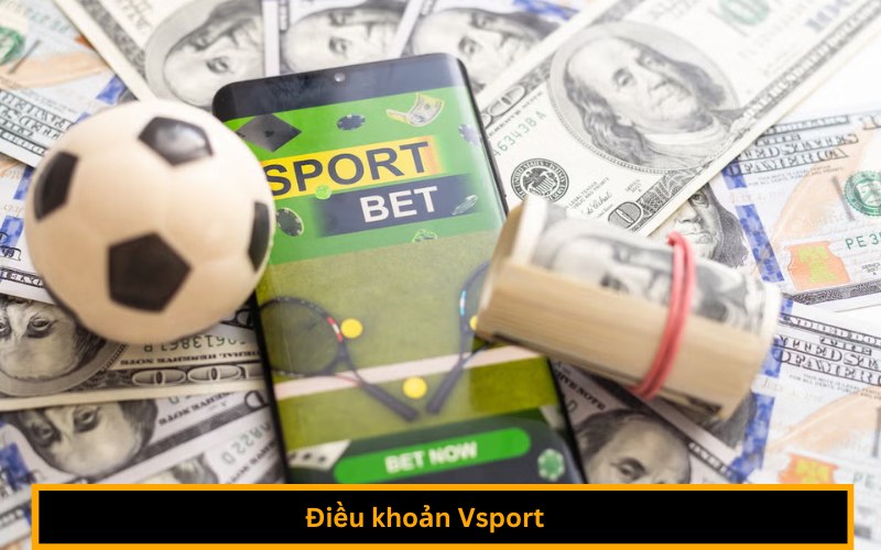 Điều khoản Vsport