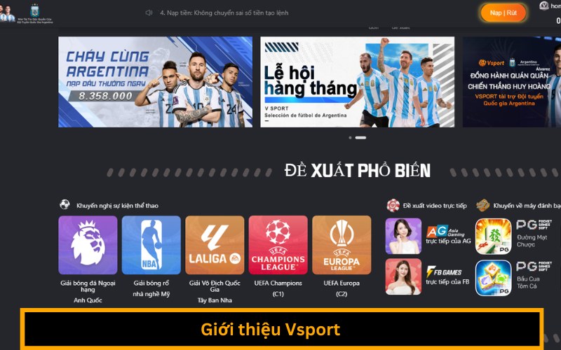 Giới thiệu Vsport