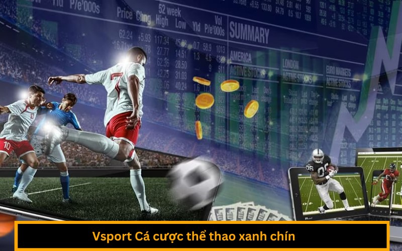 Vsport Cá cược thể thao xanh chín