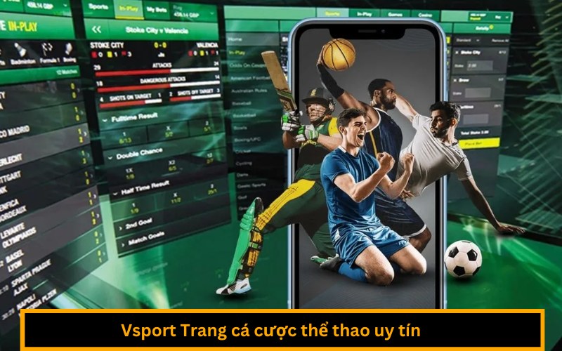 Vsport Trang cá cược thể thao uy tín